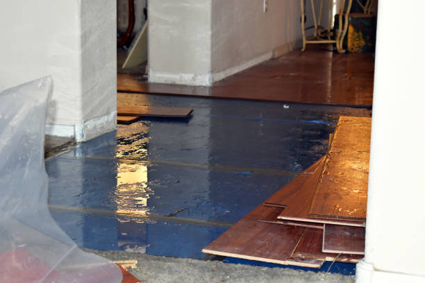 Professional Water Damage Restoration technician working in Coolidge, TX
